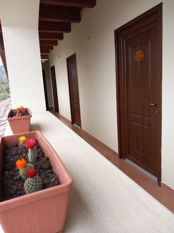 פדולה Agriturismo L'Ulivo מראה חיצוני תמונה