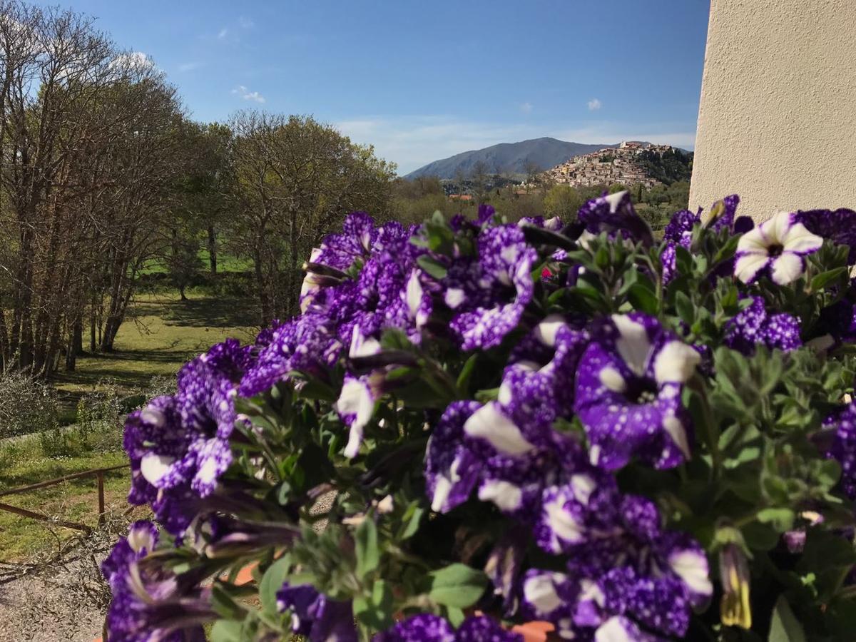פדולה Agriturismo L'Ulivo מראה חיצוני תמונה