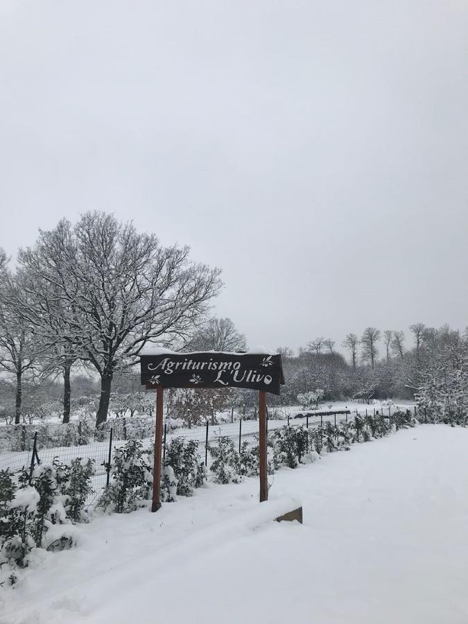 פדולה Agriturismo L'Ulivo מראה חיצוני תמונה