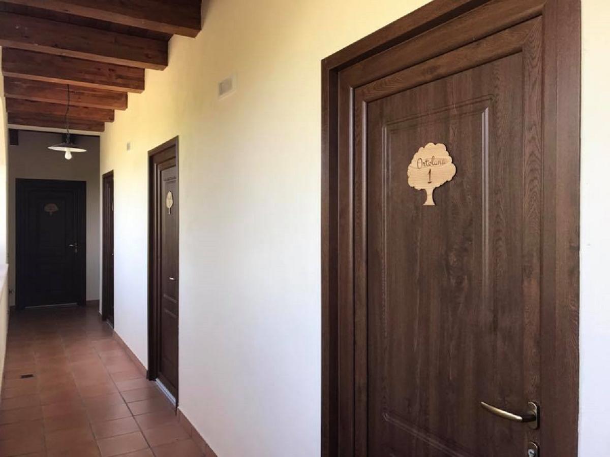 פדולה Agriturismo L'Ulivo מראה חיצוני תמונה